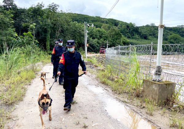云南临沧：一条犬、一队人，守护着一段祖国边境