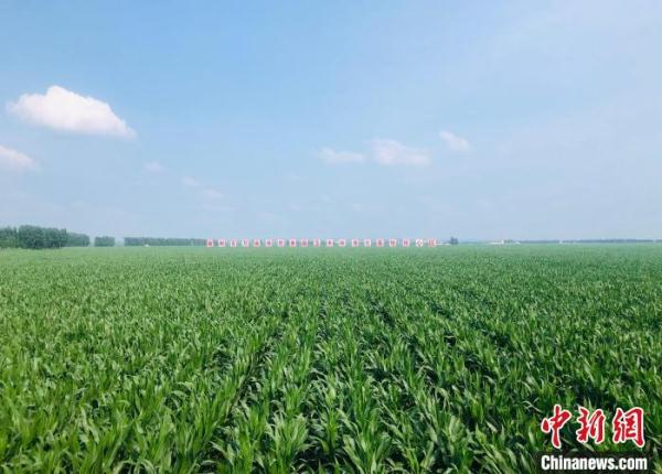 中国农业大省吉林建设气象强省保粮安