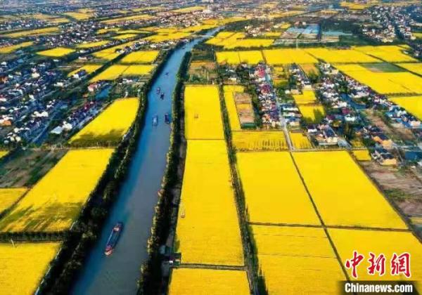 2021年中国农民丰收节浙江嘉兴主场：“数字”成关键词