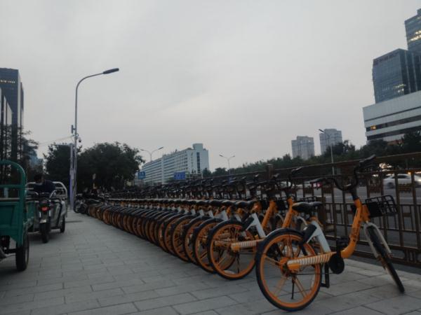 Qing调查丨直击共享单车停放乱局 无法入栏就直接“扔”