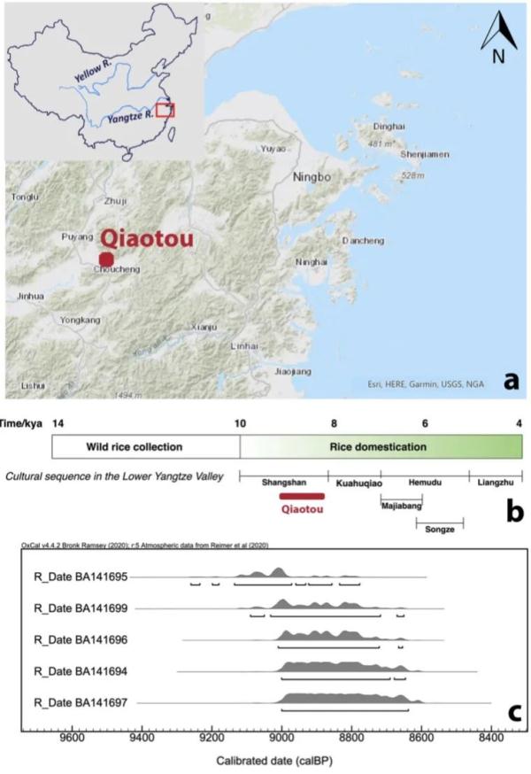 实锤！中国古人9000年前就喝啤酒