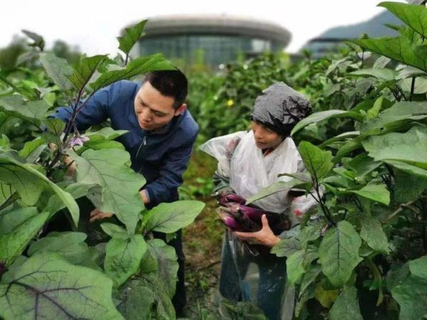 孙丽美,我们会永远记得你!