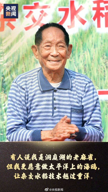 袁隆平院士誕辰今天一起致敬袁隆平