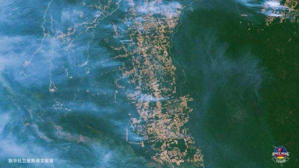 卫星直击：亚马逊雨林正在经历“每年一痛”