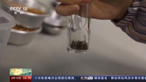 窥探种子“银行” 为野生生物建一个安全的“家”