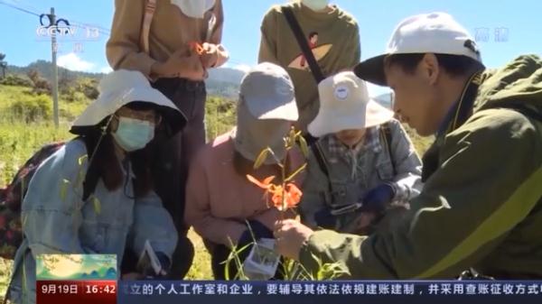 窥探种子“银行” 为野生生物建一个安全的“家”