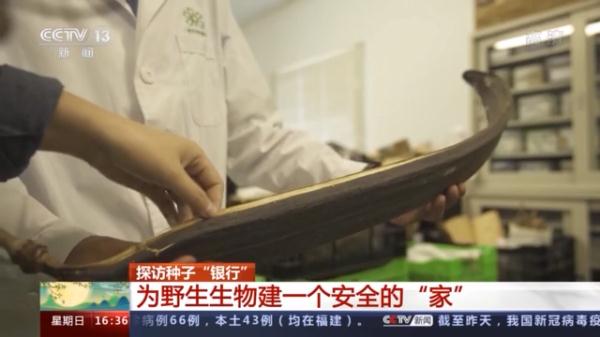 窥探种子“银行” 为野生生物建一个安全的“家”