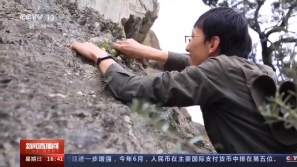 窥探种子“银行” 为野生生物建一个安全的“家”