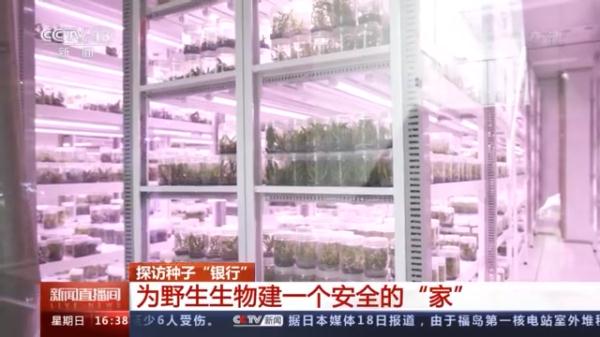 窥探种子“银行” 为野生生物建一个安全的“家”