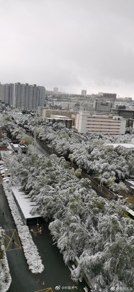 乌鲁木齐全城飘雪