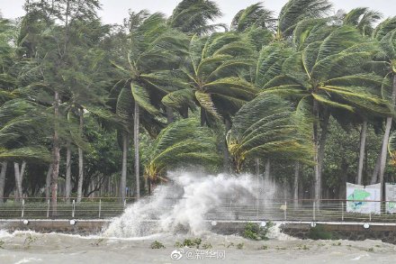 台风圆规持续加强登陆最大风力或达13级