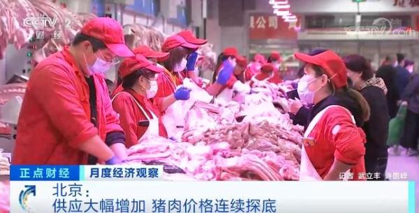 供应大幅增加 北京市猪肉价格连续探底