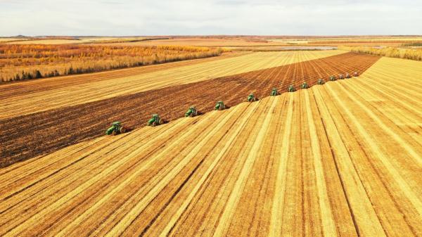 北大荒粮食作物收获告捷 预计总产达460亿斤