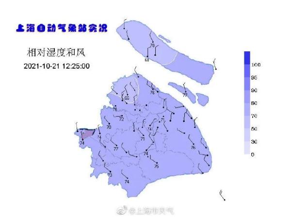 入秋=冬天？上海气温创新低，桂花、樱花、玉兰、梅花竟同时开了