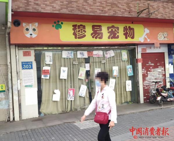 售卖“星期猫”“星期狗”，这家宠物店被罚51.5万元！