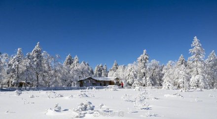 雪深超一米黑龙江凤凰山高山雪原风姿初现