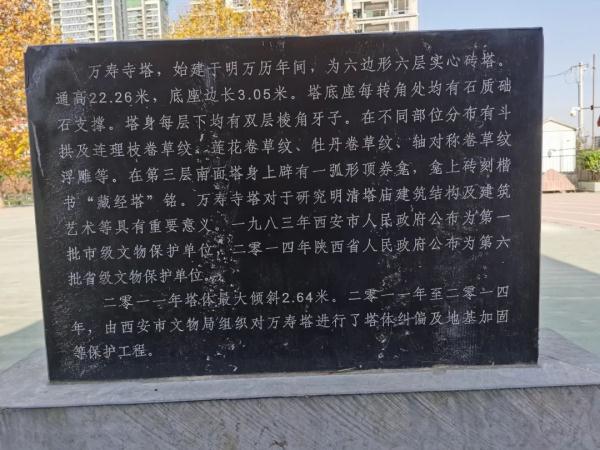 “西安又有古塔塔顶长树了！”