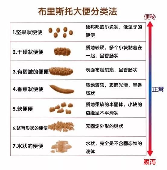 大便常规检查报告单图片