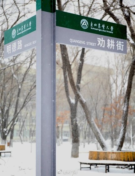 东北农业大学雪景图片