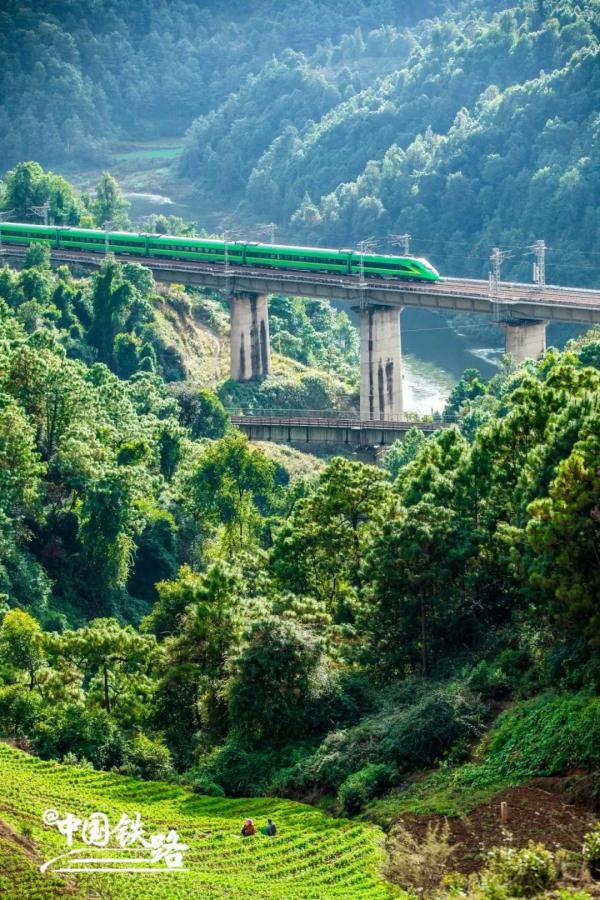 中老鐵路國際貨物列車運載貨值超一億元人民幣