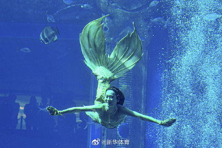 中国真的美人鱼图片
