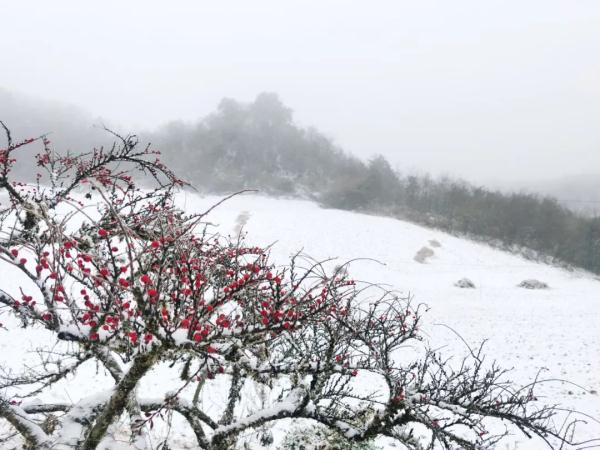 什么？湖南真的下雪了？没错，就在这些地方→