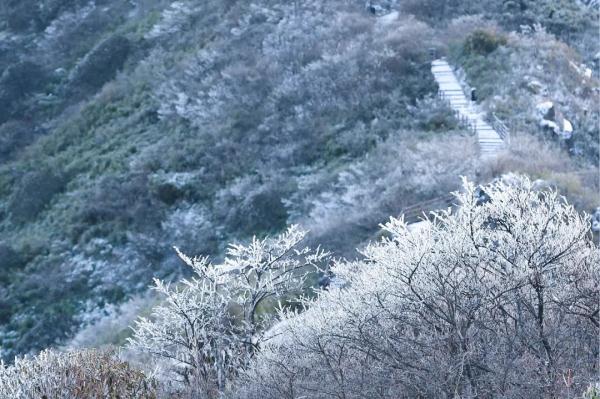 什么？湖南真的下雪了？没错，就在这些地方→