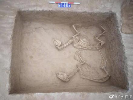 河南三门峡发现战国早期墓葬群 墓葬数量达260余座！