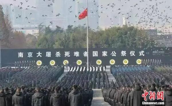 迎新年放飞和平鸽源于何时？带你了解“和平鸽”的前世今生