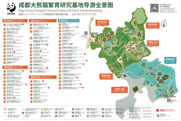 扩散！成都看熊猫，又多了一个好去处