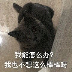 深圳外环高速二期正式通车！宝安⇌坪山最快1小时通达！