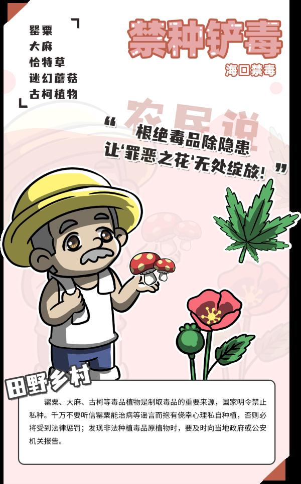 宣传力度提高群众的禁种意识杜绝海口出现非法种植毒原植物的情况毒品