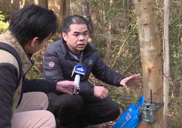 广东出现一批稀有保护动物，珍贵“大头贴”曝光