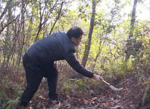 广东出现一批稀有保护动物，珍贵“大头贴”曝光
