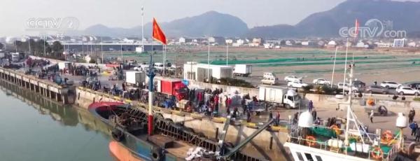 新年看市场 | 浙江宁波：东海带鱼大批到岸 价格同比下降近三成