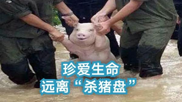 每天2%返利？赚钱秘密大曝光！
