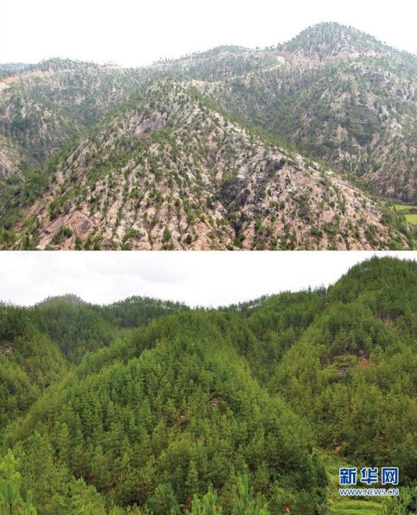 卫星告诉你，福建这些地方是如何变荒山为绿洲