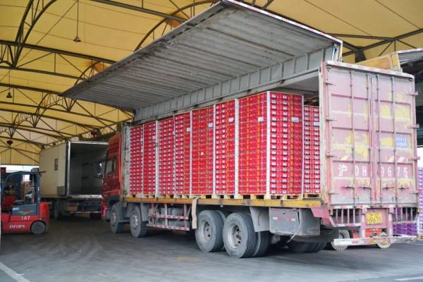 越南火龙果开始采用蒸汽消杀啦!更安全、无异味,你会买吗? 越南火龙果开始采用蒸汽消杀啦!更安全、无异味,你会买吗?