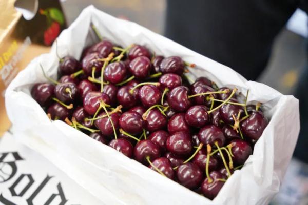 越南火龙果开始采用蒸汽消杀啦!更安全、无异味,你会买吗? 越南火龙果开始采用蒸汽消杀啦!更安全、无异味,你会买吗?