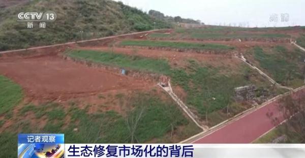 各地积极探索利用市场化方式推进生态修复 背后有何考量？详细解读来了！