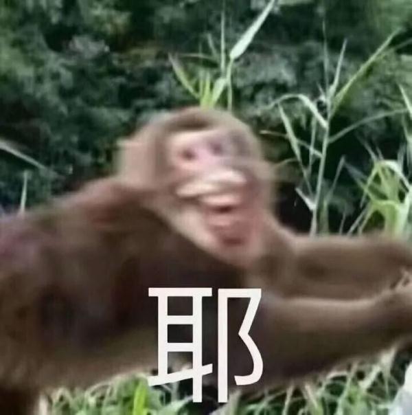 不只一只！上海多地惊现“大师兄”，五六个保安都没有抓住...