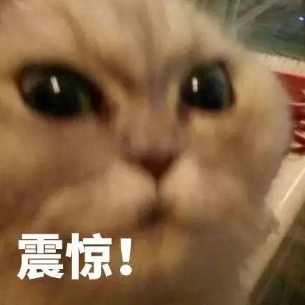 黑心！一桶装水生产商用工业甲醛清洗净水设备被判刑