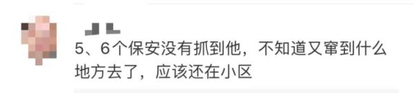 不只一只！上海多地惊现“大师兄”，五六个保安都没有抓住...