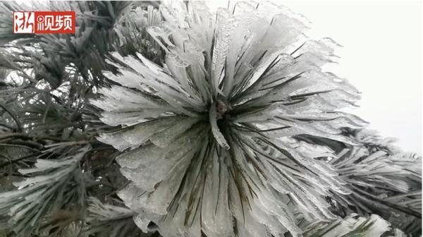 2022年杭州的第一场雪来了