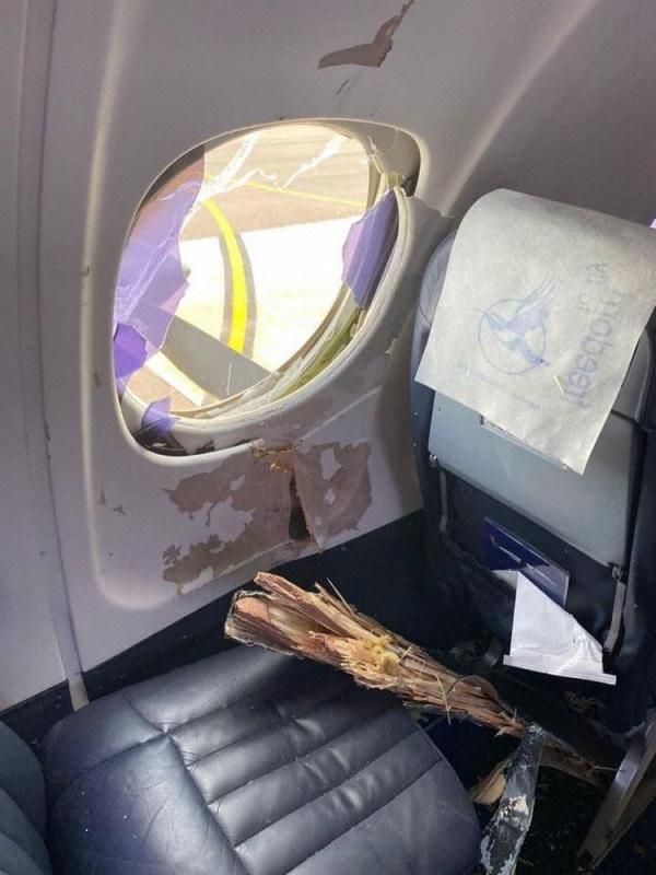南非航空一飞机与大鸟相撞：窗户被打碎，舱内有羽毛