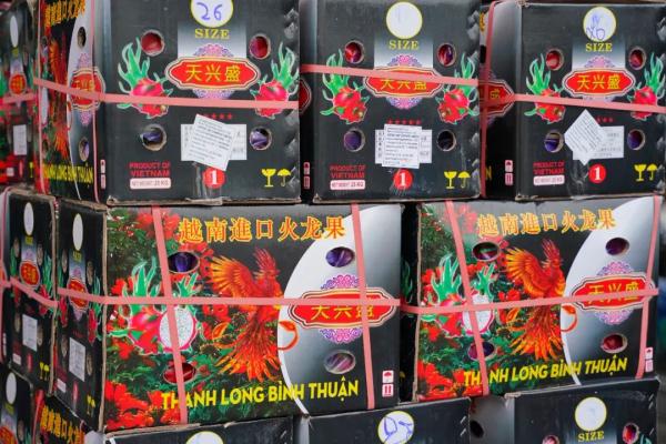 越南火龙果开始采用蒸汽消杀啦!更安全、无异味,你会买吗? 越南火龙果开始采用蒸汽消杀啦!更安全、无异味,你会买吗?