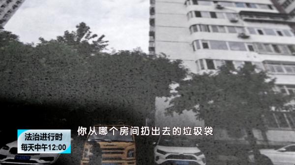 女子往楼下扔了块西瓜皮，获刑4个月