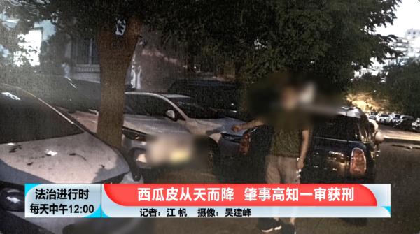 女子往楼下扔了块西瓜皮，获刑4个月