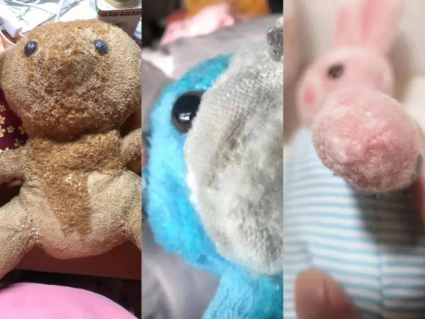 收8800元还修坏了?曾温暖全网的玩偶修复师朱伯被质疑,本人回应→ 收8800元还修坏了?曾温暖全网的玩偶修复师朱伯被质疑,本人回应→