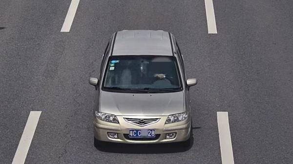 10辆小车挂同一车牌出入梅华路！这个交警5点起床连抓3台车……